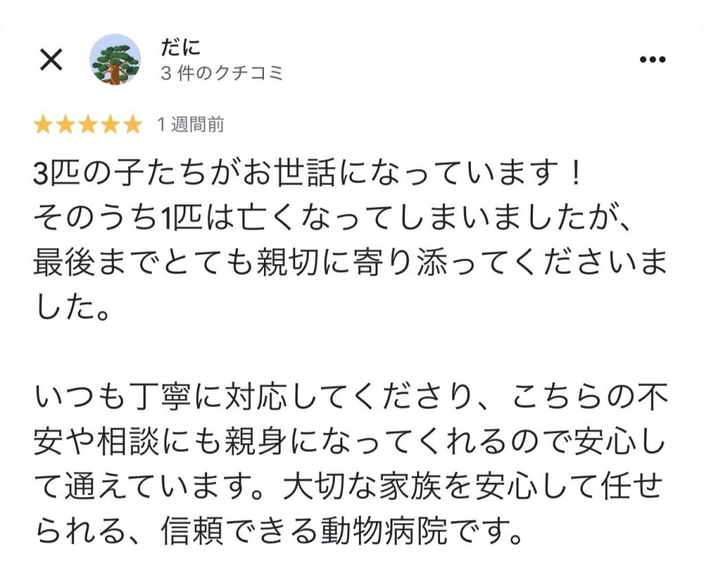 口コミ03